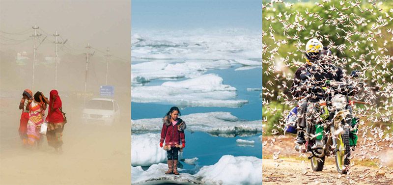 新型生物刺激素集成技術(shù) -- 積極應(yīng)對(duì)非生物脅迫對(duì)農(nóng)業(yè)生產(chǎn)影響，助力糧食產(chǎn)量和農(nóng)產(chǎn)品品質(zhì)雙提升