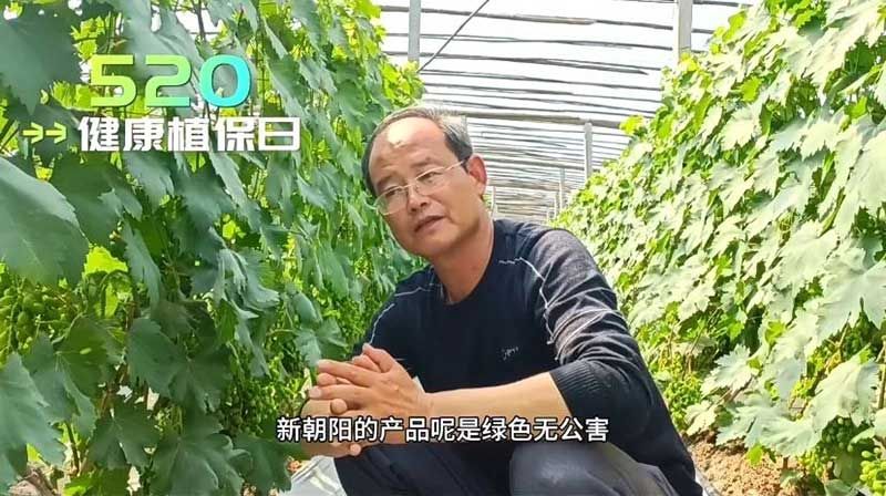 520健康植保日——擁抱綠色農(nóng)業(yè)，我們在行動