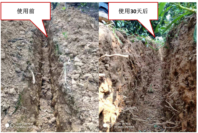 “土壤板結(jié)克星”：土壤調(diào)理劑你了解多少？