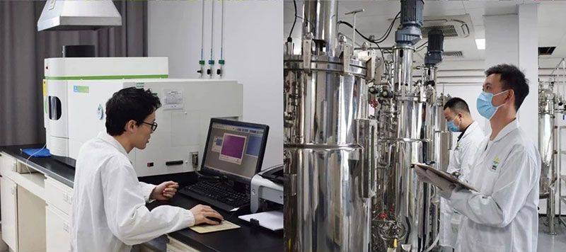 打造新朝陽生物科技“五張名片”，服務(wù)農(nóng)業(yè)高質(zhì)量發(fā)展！