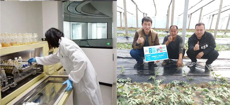 打造新朝陽生物科技“五張名片”，服務(wù)農(nóng)業(yè)高質(zhì)量發(fā)展！