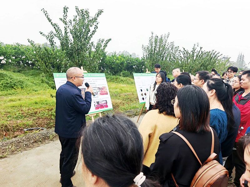 新朝陽生物技術(shù)助力綠色防控，推動柑橘產(chǎn)業(yè)綠色高質(zhì)量發(fā)展
